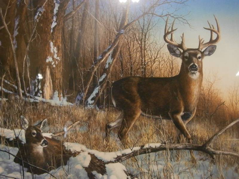 Jim Hansel Resting Place Signed & Numbered 6344980