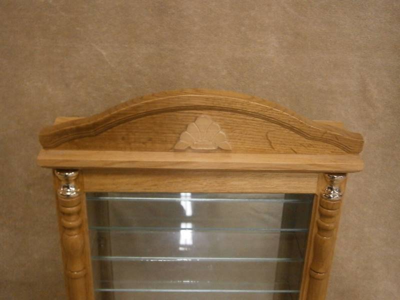 Wall Display Case Mirrored Back