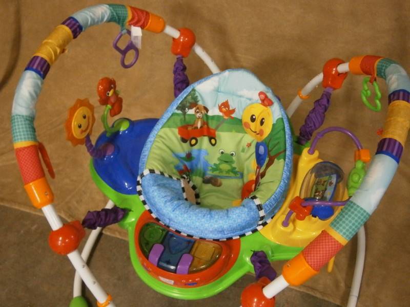 Baby Einstein Jumper (Like New)