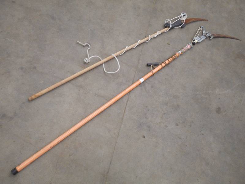 lot 10 image: (1) Fiskars Extendable Pole Saw & (1) 6ft Pole Saw