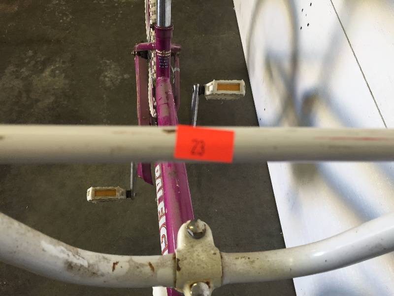 lot 23 image: RALEIGH GIRLS BIKE