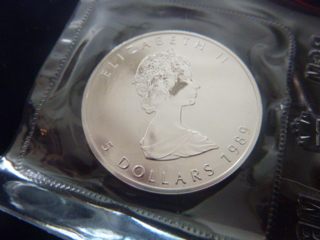 1989 Canadina Silver 5 Dollar Coin