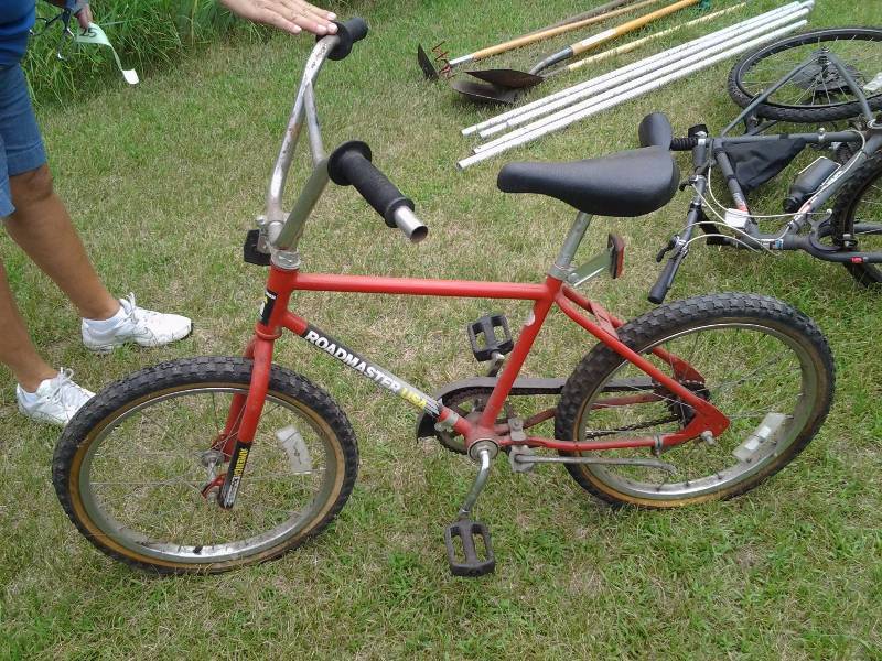 lot 26 image: Roadmaster Adventurer 20 Bike