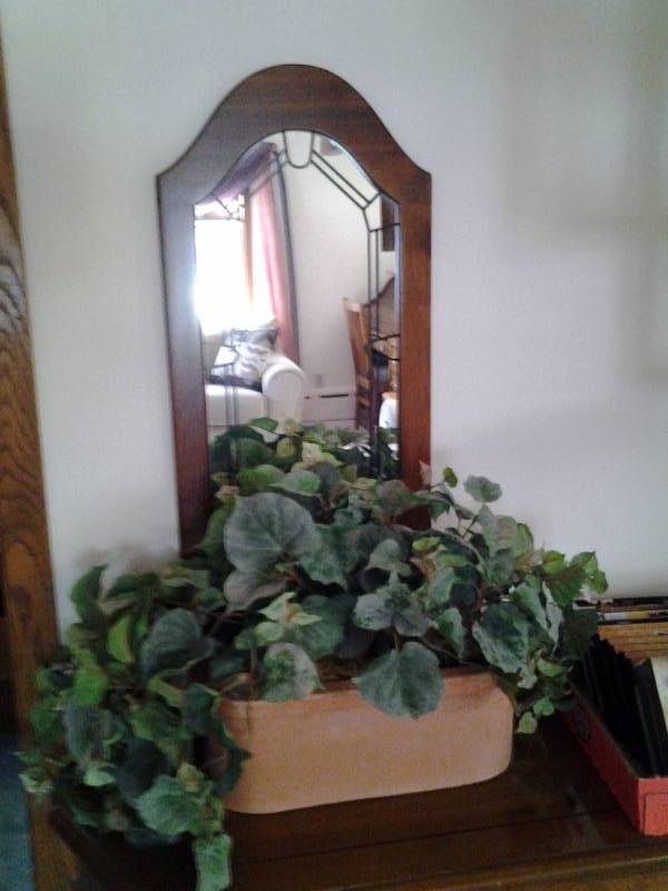 lot 134 image: Terra Cotta Planter With Greenery 15 Inch, Wall Mirror 24x13