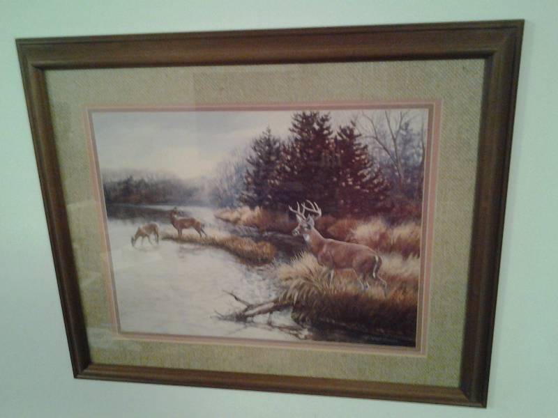 lot 147 image: Framed Deer Picture By Julie Crocker 24x19