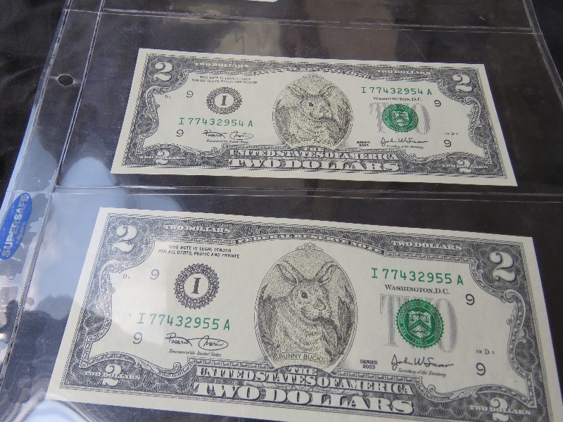 Bunny Bucks