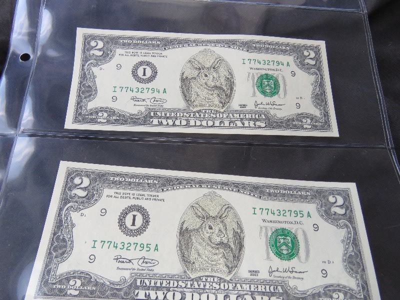 Bunny Bucks