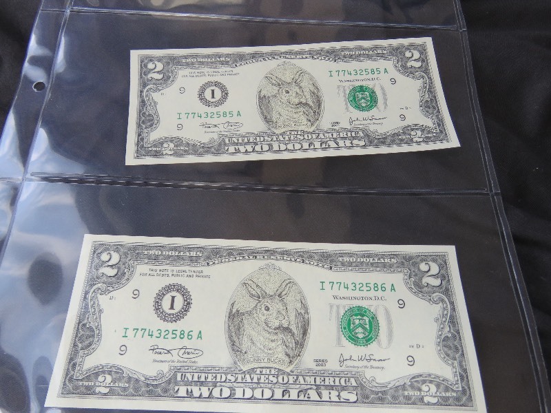 Bunny Bucks