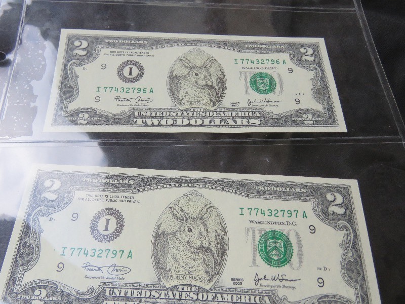 Bunny Bucks