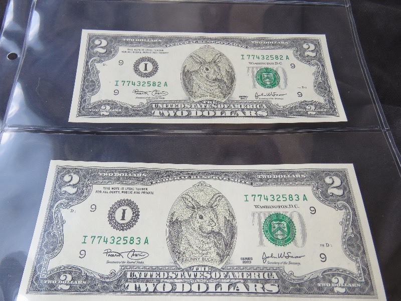 Bunny Bucks