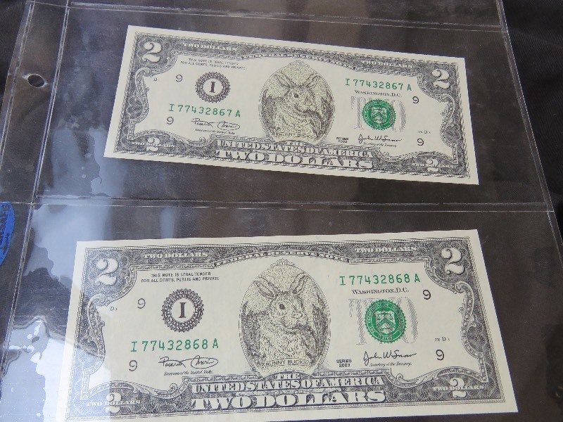 Bunny Bucks