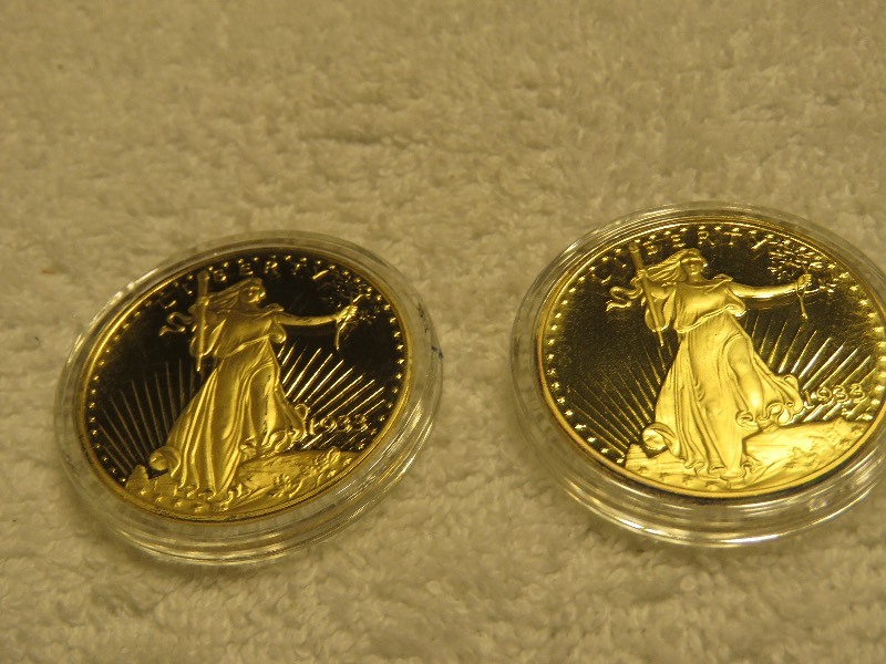 Twenty Dollar Piece-Copy