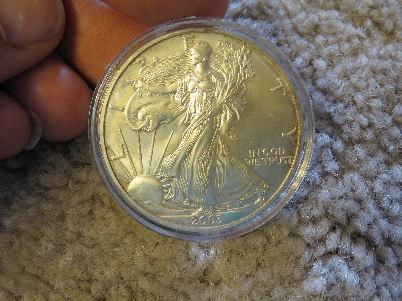 Walking Liberty