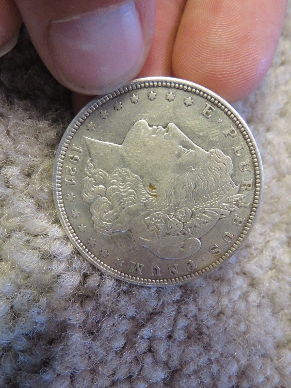 Morgan Dollar