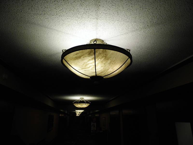 Alabaster Light Fixture