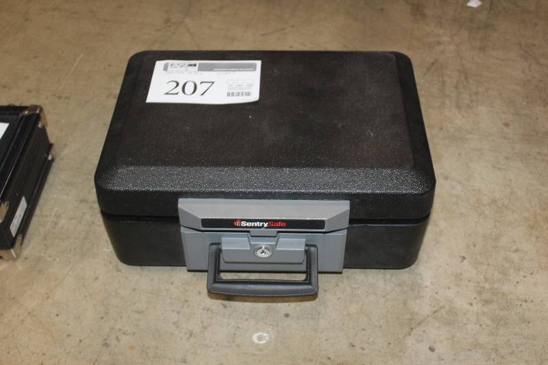 lot 207 image: Sentry Safe Gun Safe