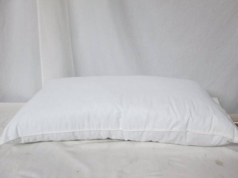lot 44 image: Sleep Innovations Gel Classic Pillow - King