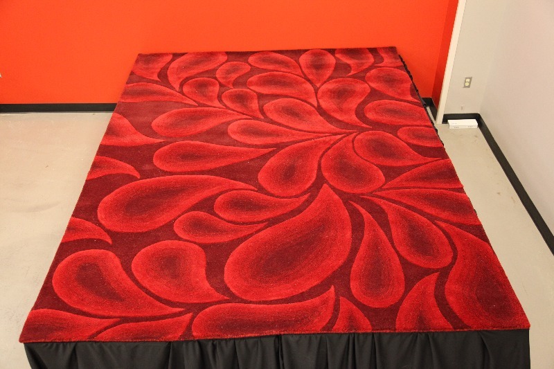 Shadow Rug 8 x 11 Red Area Rug