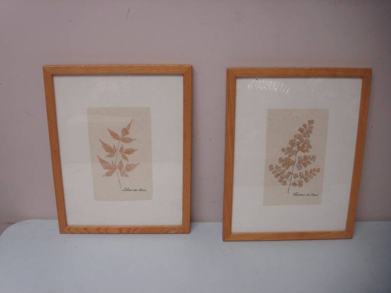 lot 54 image: Pair Of Leaf Pictures, Backs Are Ripped...