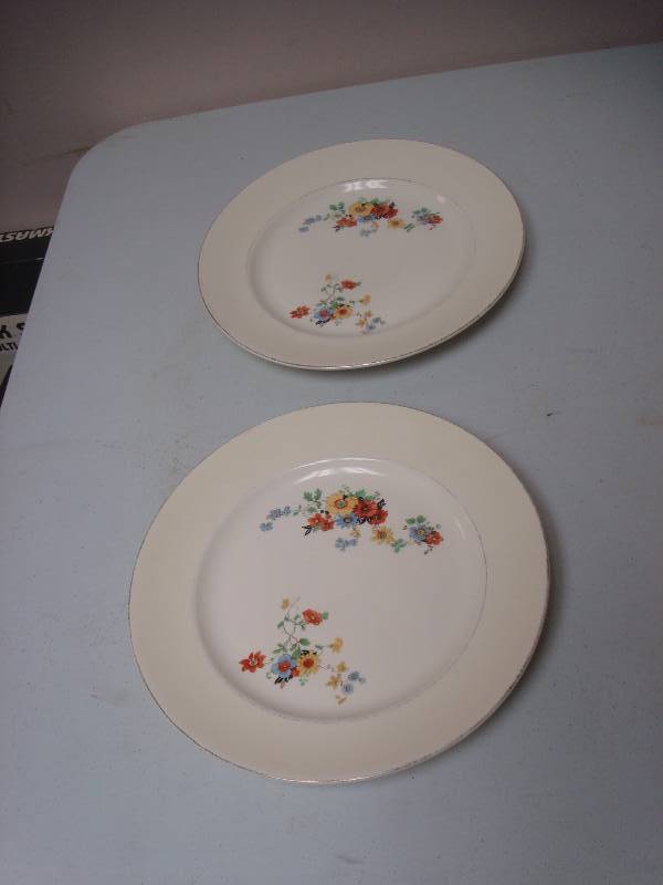 lot 149 image: Pair Of Ivora Crooksville Fine China Plates, ...