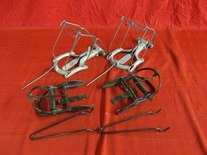 Mole Traps