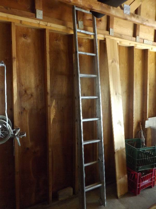 Extension Ladder, Golf Caddy