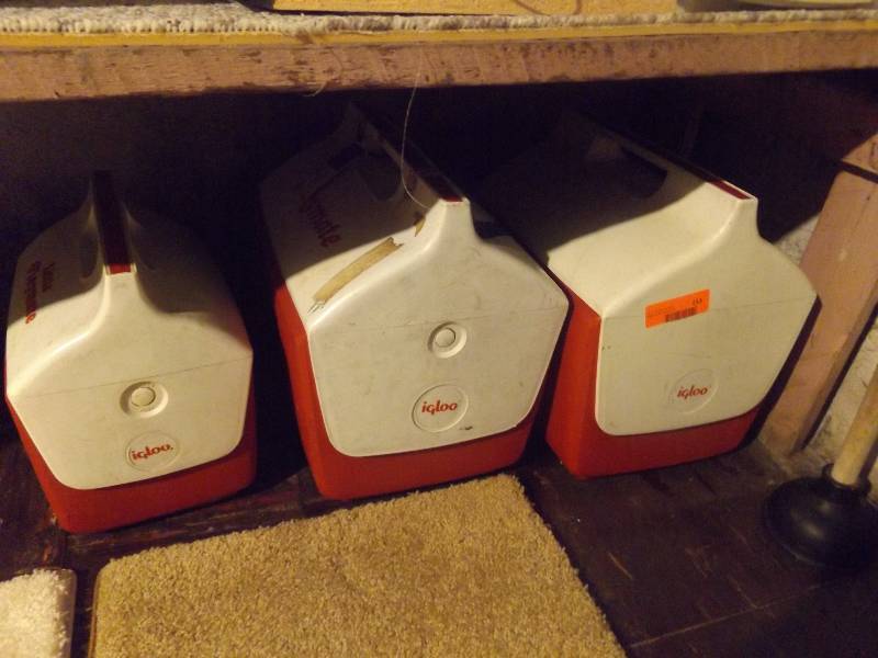 Igloo Coolers