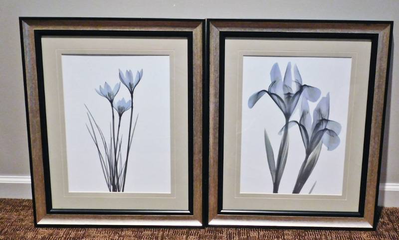lot 93 image: Framed Floral prints with glass