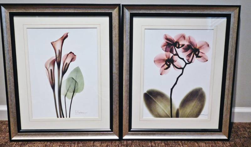 lot 95 image: Framed Floral prints with glass