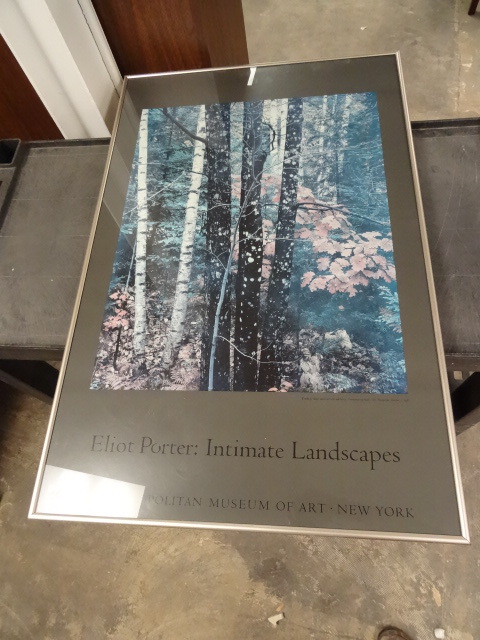 Eliot Porter Framed Print