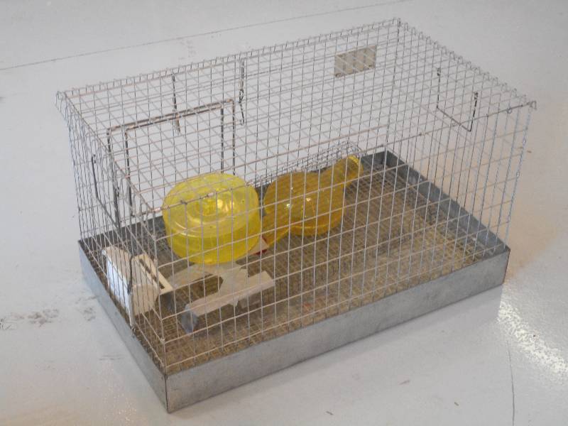 lot 105 image: 36 Steel Rabbit Cage With Accessor...