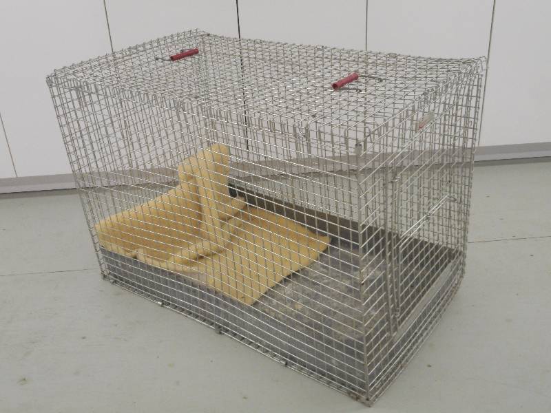lot 163 image: 24x36 Rabbit Cage ...