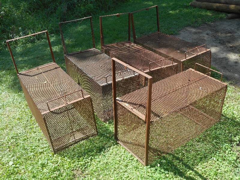 lot 194 image: (5) Heavy Duty FoxRacoonCoyote Tr...