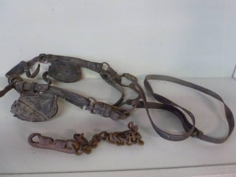 lot 31 image: Horse Equipment