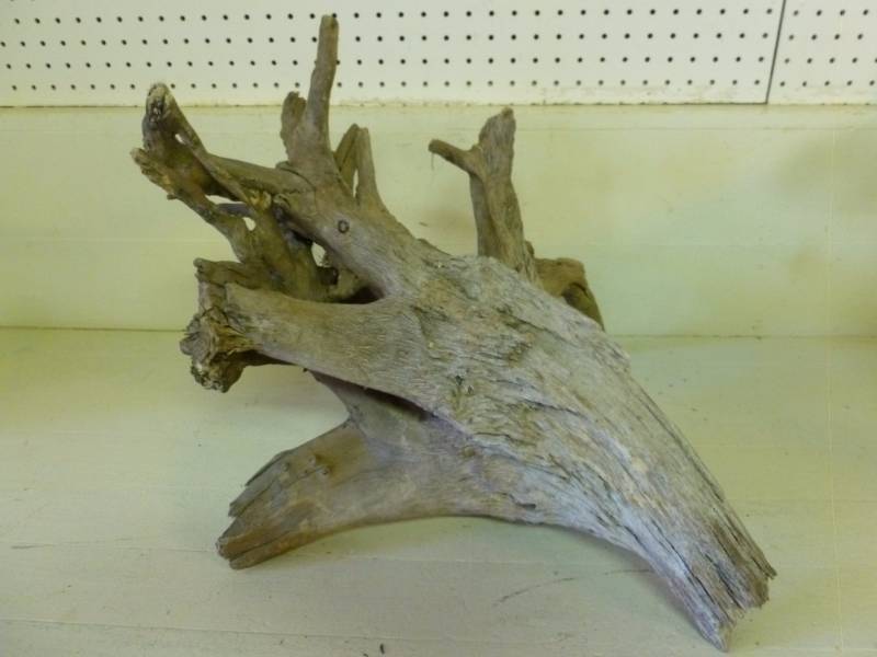 lot 57 image: Driftwood