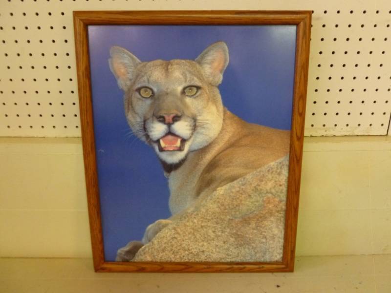 lot 65 image: Picture