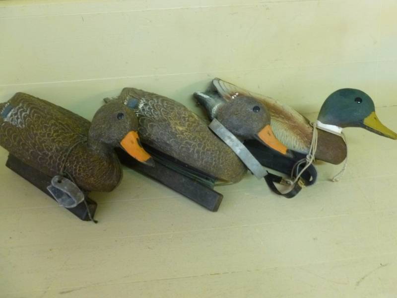 lot 280 image: Duck Decoys