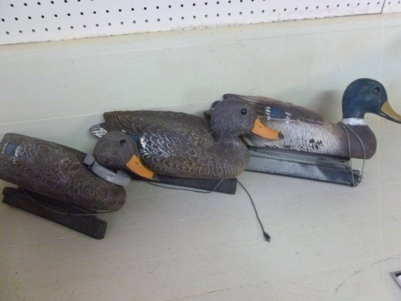lot 281 image: Duck Decoys