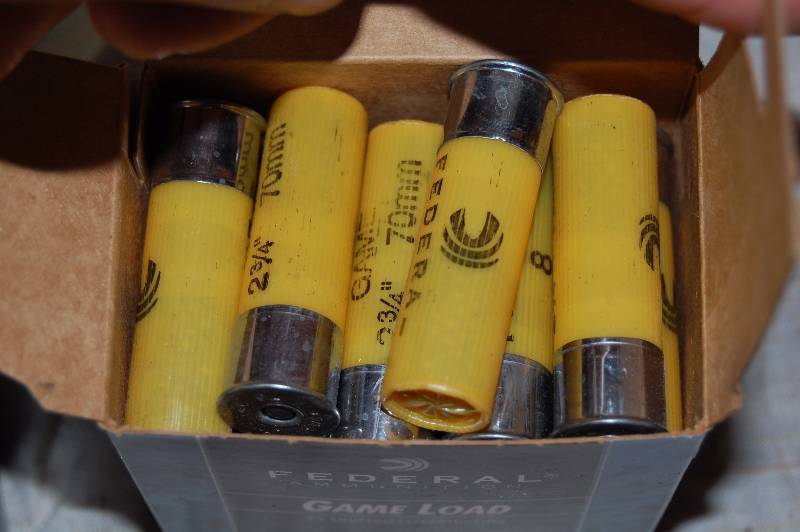 20 Gauge Shotgun Shells