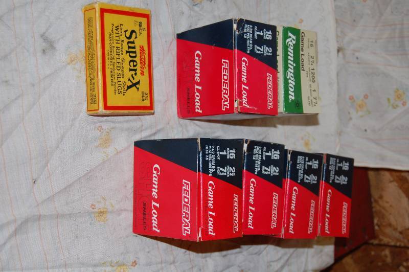 16 Gauge Shotgun Shells