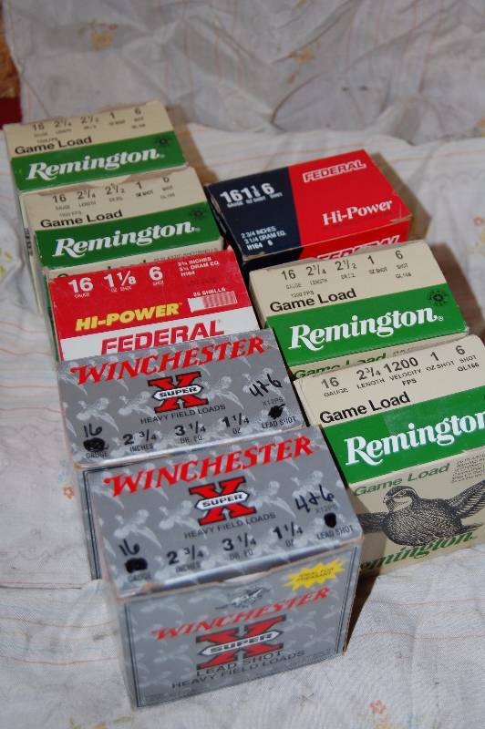 16 Gauge Shotgun Shells