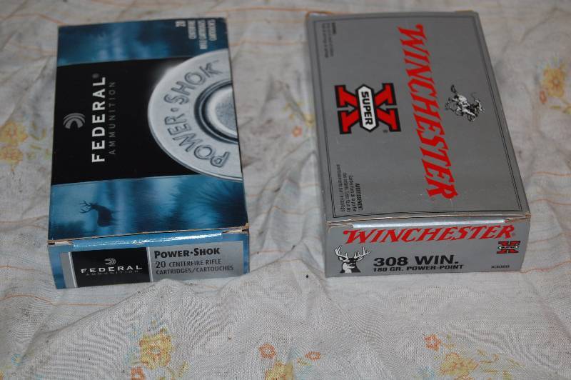 308 Winchester Shells
