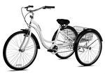 kent alameda tricycle parts
