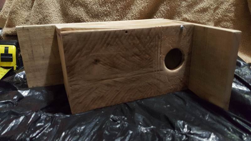 Homemade bird house