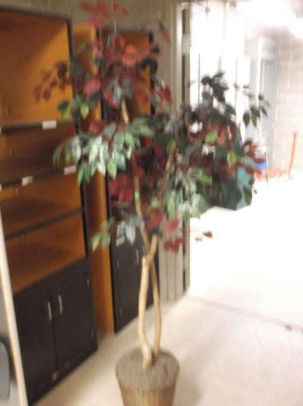 Decor