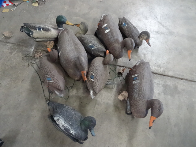 lot 209 image: 9 Weighted Duck Decoys