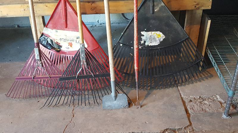 lot 12 image: 4 Rakes, Scraper, and Weeder
