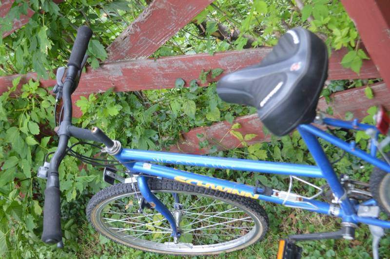 lot 10 image: Blue Schwinn Bike