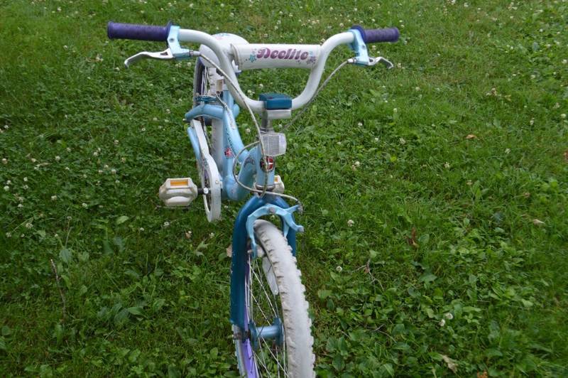 lot 11 image: Baby Blue Schwinn Girls Bike