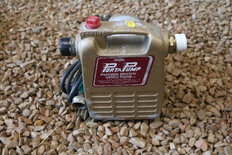 lot 19 image: 110 volt prota pump